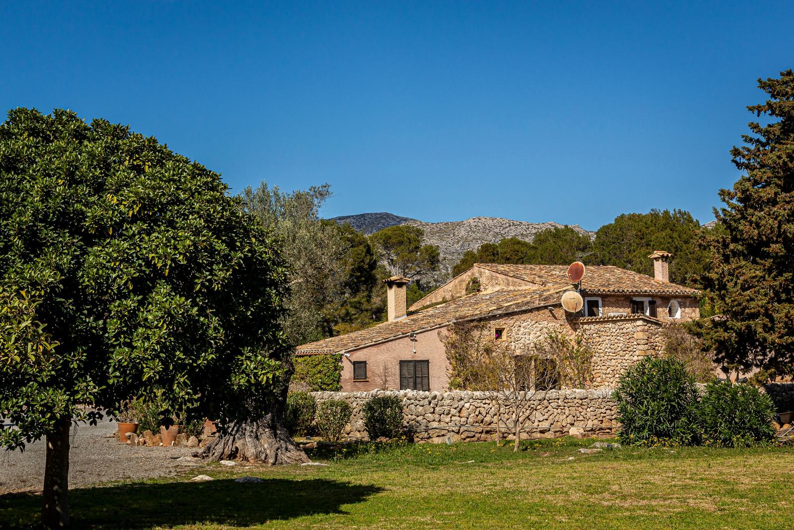 A stone finca in a Mallorcan valley with an old olive tree
